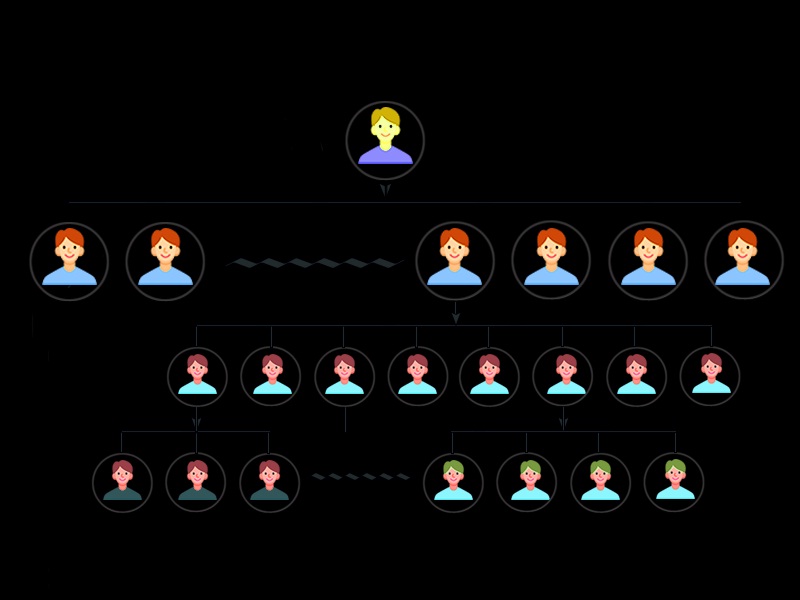 Unilevel Plan MLM Software