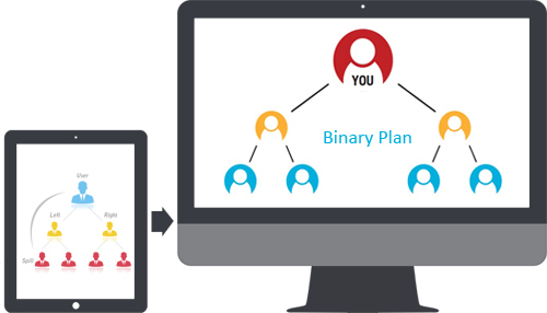 Binary MLM Software Plan